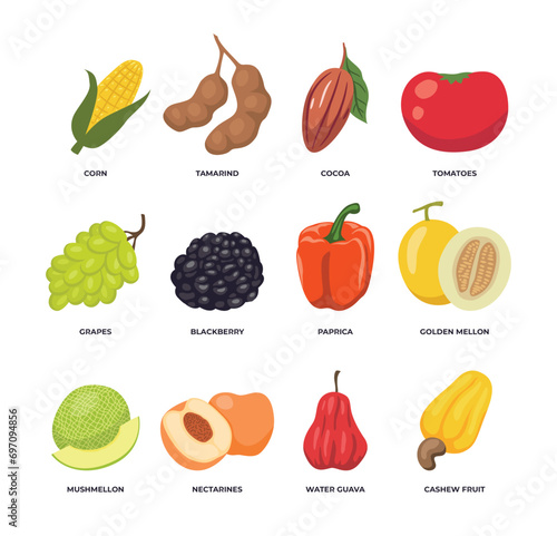 Set of different fruits and vegetables collection isolated on white background with corn, tamarind, cocoa, tomato, grapes, blackberry, paprica, golden melon, mushmelon, nectarine, water guava, cashew.