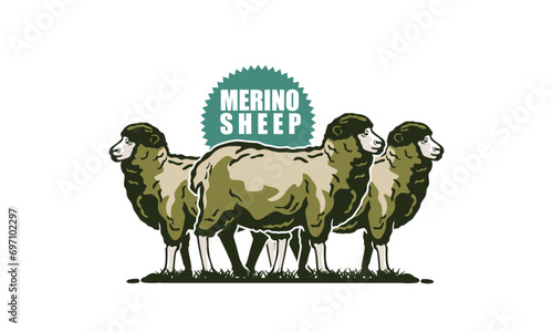 MERINO SHEEP THE WOOL MAKER LOGO, silhouette of great ram standing vector  illustrations