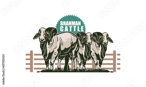 GREAT BRAHMAN CATTLE LOGO, silhouette of big and strong cow standing vector illustrations