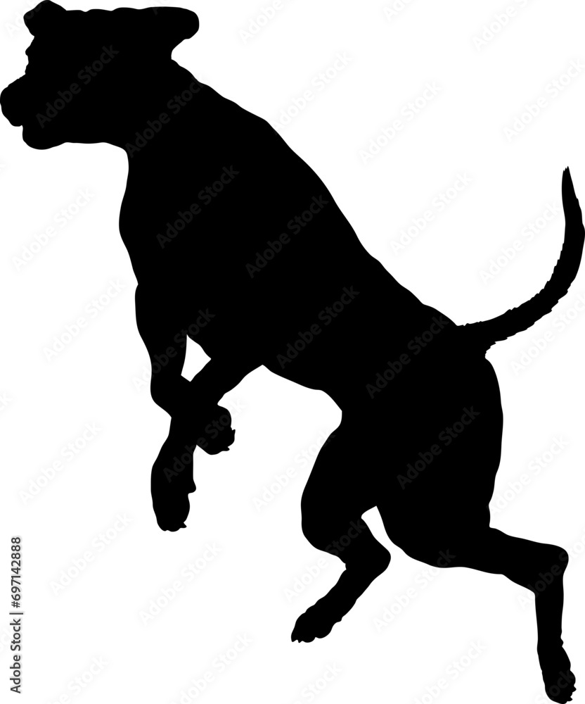 Dog Dog jumping silhouette Breeds Bundle Dogs on the move. Dogs in different poses.
The dog jumps, the dog runs. The dog is sitting. The dog is lying down. The dog is playing
