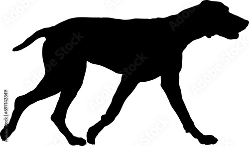 Dog Pointer walking silhouette Breeds Bundle Dogs on the move. Dogs in different poses. The dog jumps  the dog runs. The dog is sitting. The dog is lying down. The dog is playing 