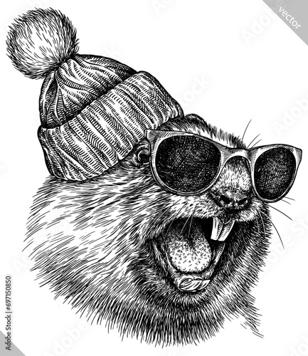 Vintage engraving isolated marmot glasses dressed fashion set illustration groundhog ink sketch. Woodchuck background silhouette sunglasses hipster hat art. Black and white hand drawn vector image