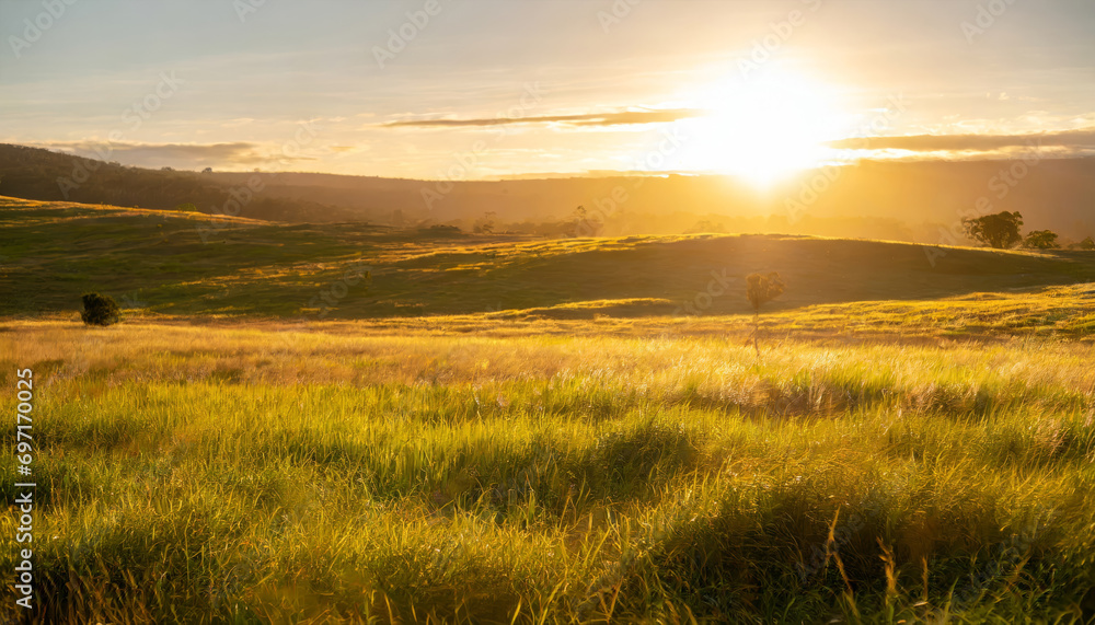 Golden Sunrise Over the Rolling Hills: A Scenic Morning View of the Rural Meadow
