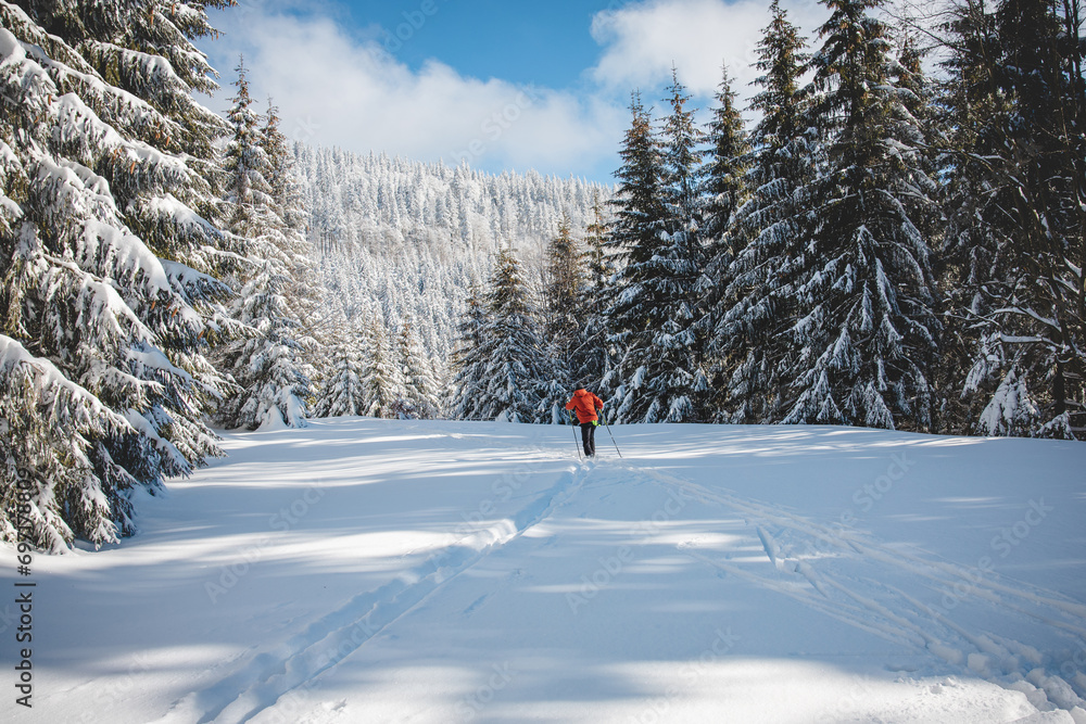 Young adult cross-country skier aged 20-25 making his own track in deep snow in the wilderness during morning sunny weather in Beskydy mountains, Czech Republic