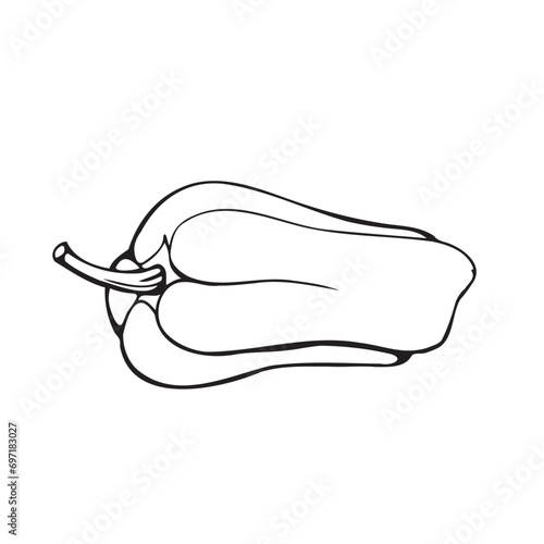 Outline of bell pepper. Minimalistic, vector illustration