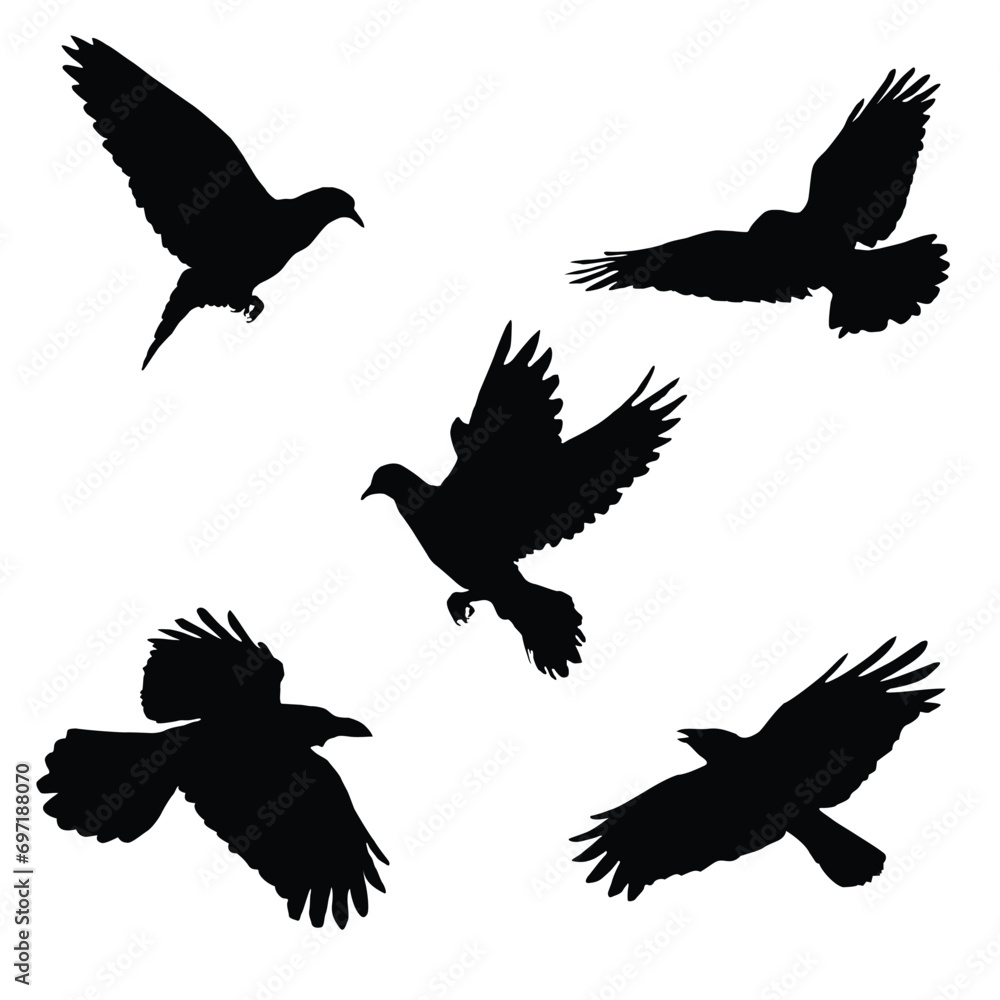 Fototapeta premium Vector silhouette of flying birds vector isolated