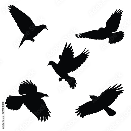 Vector silhouette of flying birds vector isolated