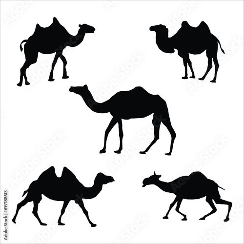 Black and white camel Silhouettes. Vector