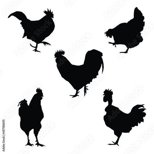 vector silhouette chicken and rooster