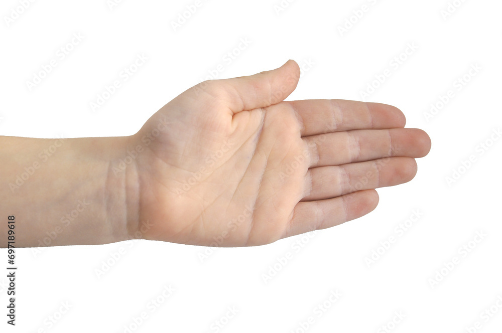 A child's palm with clenched fingers. Transparent background.