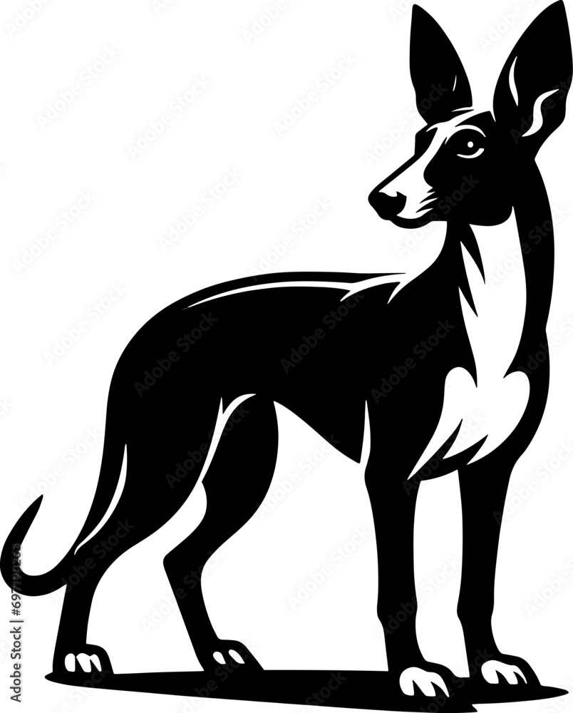 Fototapeta premium Podenco Canario icon