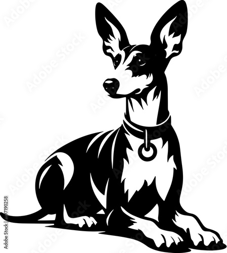 Podenco Canario icon 13