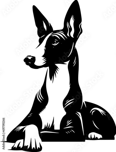Podenco Canario icon 8