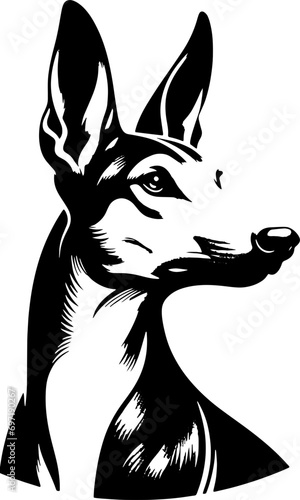 Podenco Canario icon 10