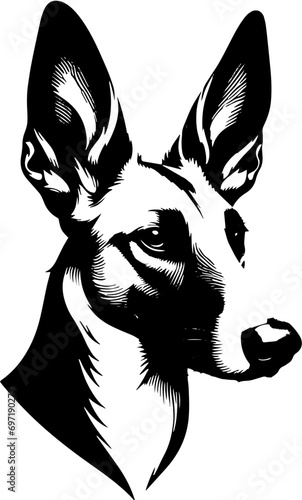 Podenco Canario icon 11