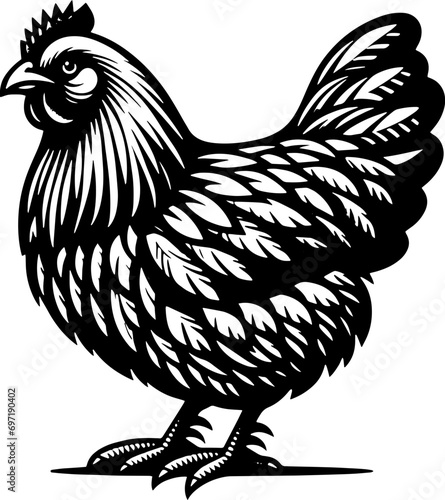 Plymouth Rock Chicken icon 3