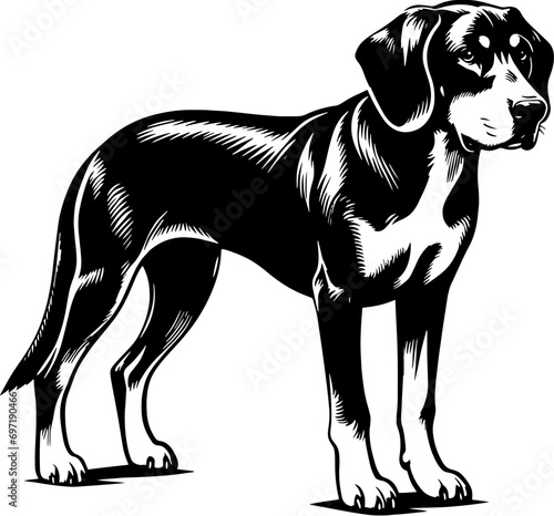 Plott Hound Mix icon 13