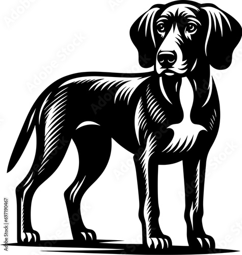 Plott Hound Mix icon 12