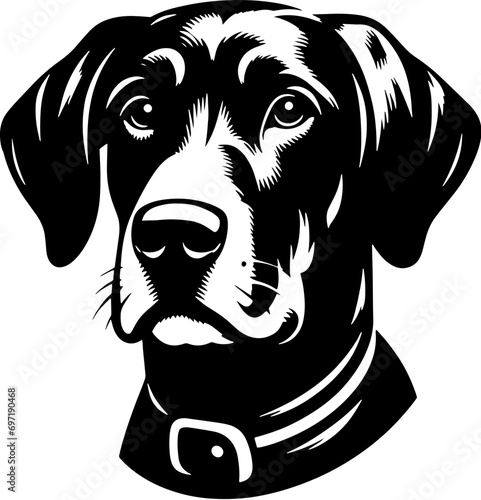 Plott Hound Mix icon 11