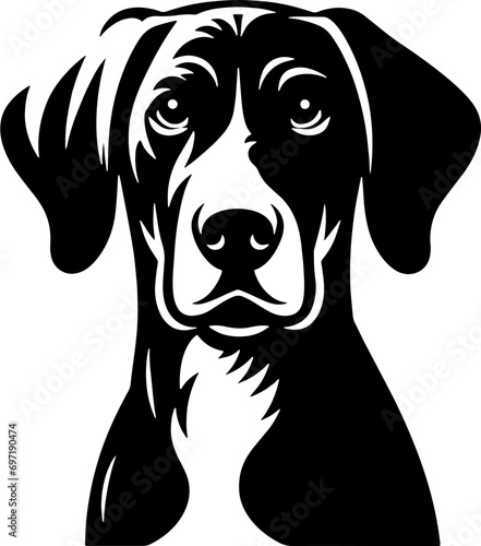 Plott Hound Mix icon 9