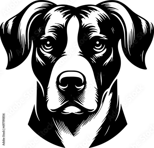 Pitador icon 10