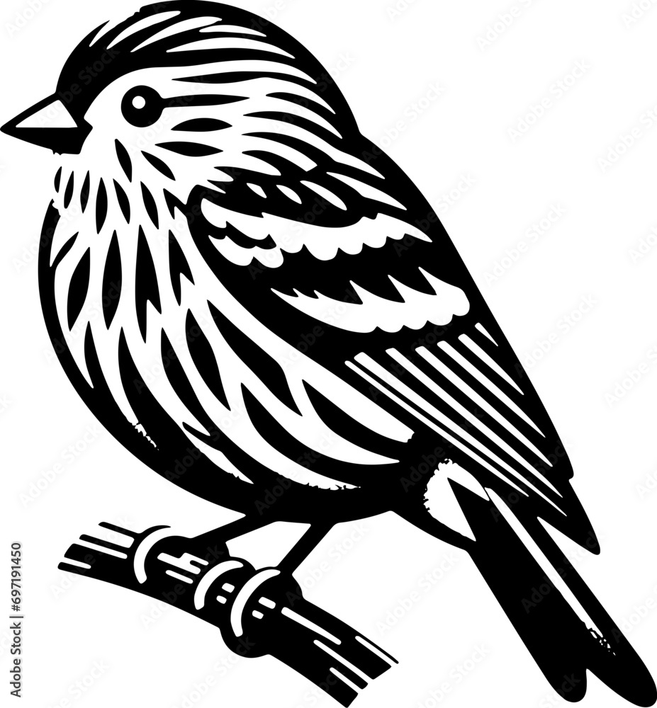 Obraz premium Pine Siskin icon
