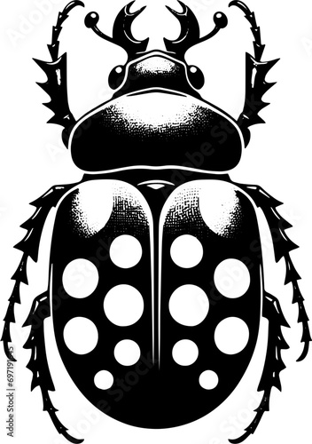 Pinacate Beetle icon 14