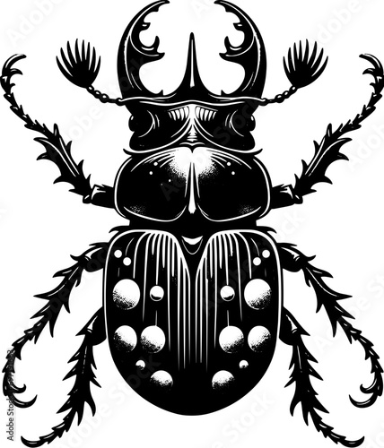 Pinacate Beetle icon 10
