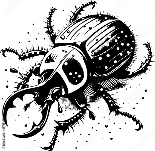 Pinacate Beetle icon 11 photo