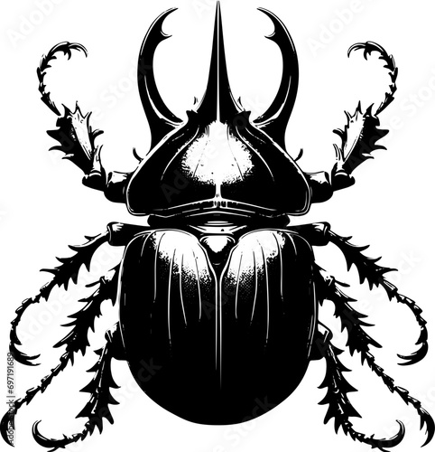 Pinacate Beetle icon 4