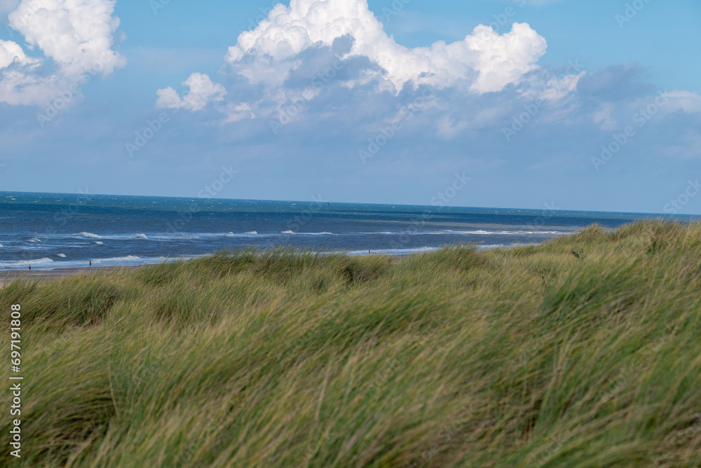 Dunes with grass and cloudy sky, the Netherlands. Dunes with grass and cloudy sky, the Netherlands.