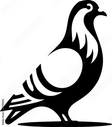 Pigeon Bird icon 11