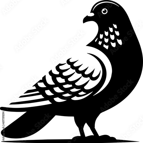 Pigeon Bird icon 10