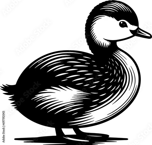 Pied Billed Grebe icon 8