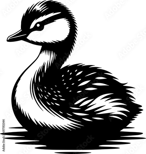 Pied Billed Grebe icon 7