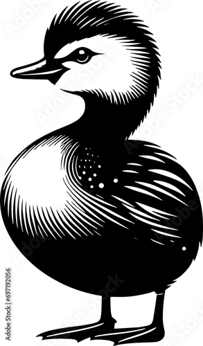 Pied Billed Grebe icon 4