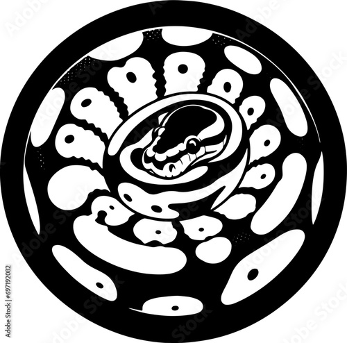 Pied Ball Python icon 9