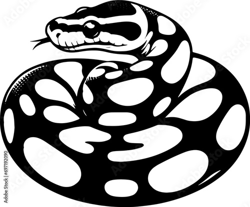 Pied Ball Python icon 2