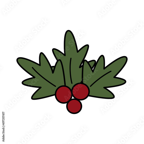 Holly berry Christmas , mistletoe. Vector and illustration.