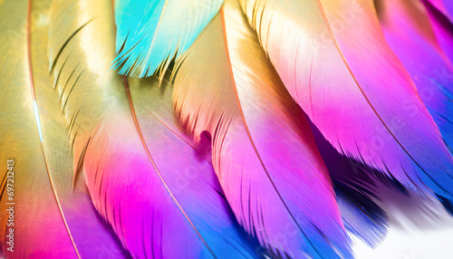 Colorful feathers background soft pastel colors abstract background
