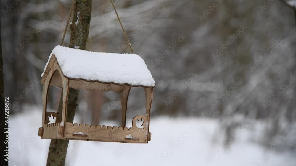 Wild Parus major (Great tit) bird with yellow feathers eats seeds from wooden bird feeder covered with snow in winter forest. Soft focus. Real time handheld video. Wild animal care theme.