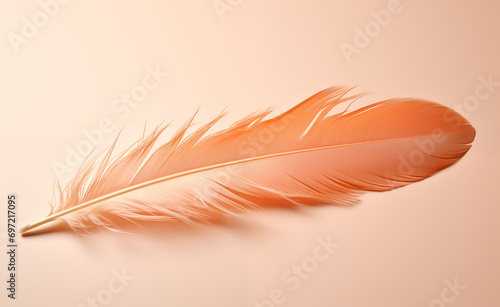 Peach fuzz color feather lying on minimal light background. 