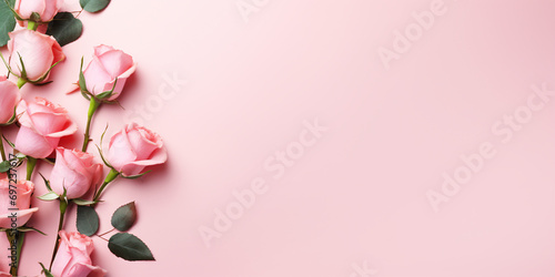 Rose flowers on side of pink background with copy space
