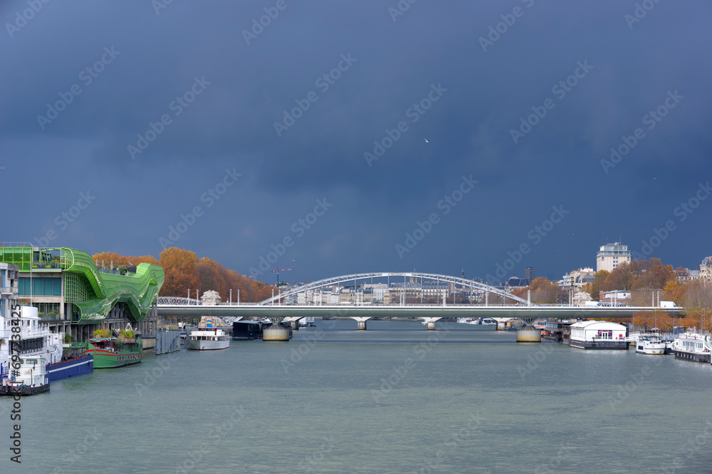 Fototapeta premium Charles-de-Gaulle bridge and Austerlitz viaduct in the 13th arrondissement of Paris city