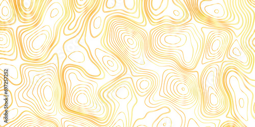 Topographic map background concept with space for your copy. The stylized height of the topographic map contour in lines and contours. Vector abstract illustration. Geography concept.