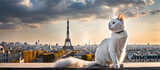Cat on the rooftops of Paris with the Eiffel Tower in the background. Landscape Paris, France. Banner text space. Paris's view. 