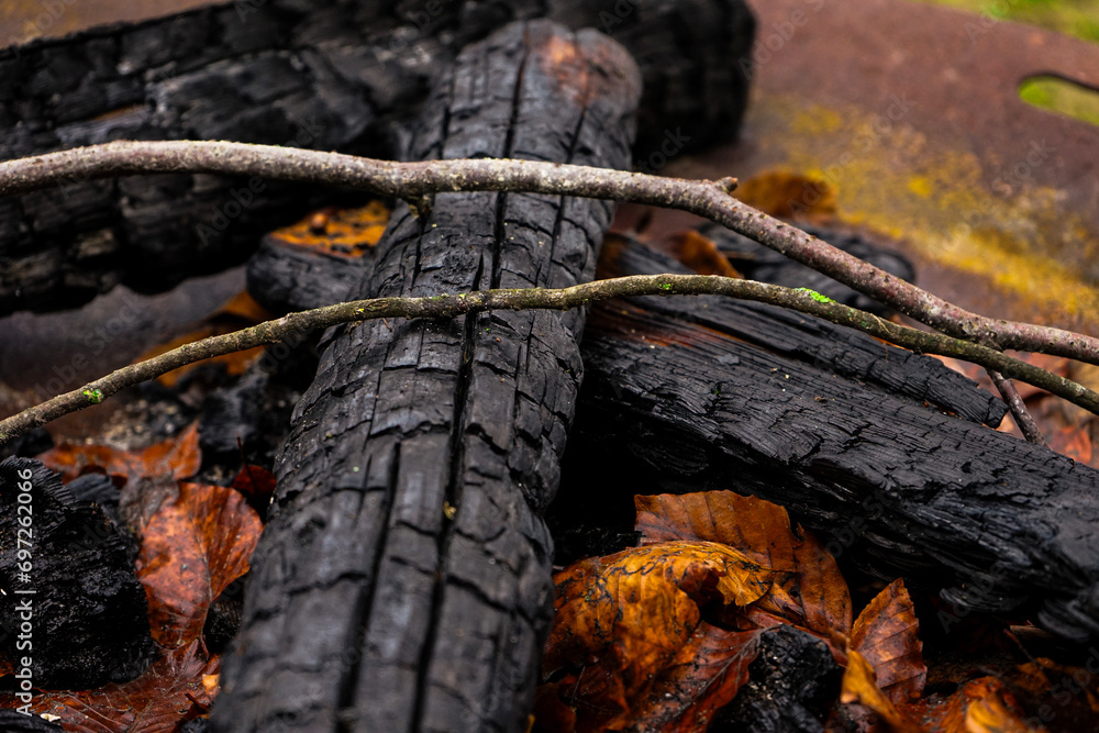 Makro von Verkohltem Holz mit Laub in einem Lagerfeuer Makro von Verkohltem Holz mit Laub in einem Lagerfeuer