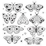 Celestial moon night moths, esoteric butterflies, boho line illustrations, set of vector drawings