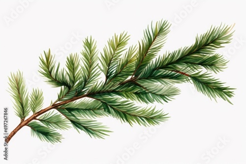 A beautiful watercolor painting of a pine tree branch. This artwork captures the intricate details and vibrant colors of the branch  creating a serene and nature-inspired piece.