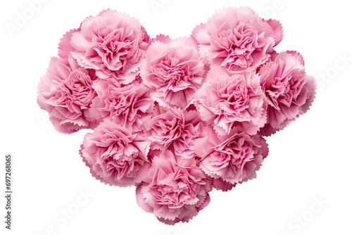 carnation flowers arranged in love shape on an isolated transparent background photo